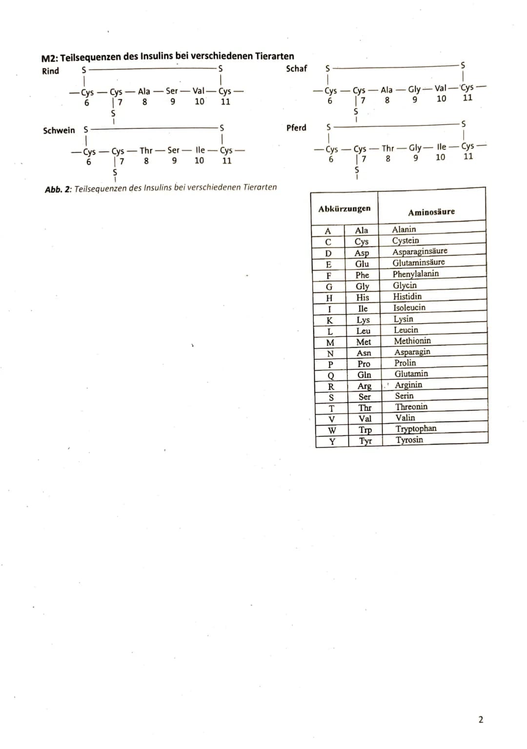 Name:
2. Klausur der Q2-Biologie-Grundkurse 1-3 (BUTE/KRAE)
14.12.2023
Aufgabe 1: Belege für die Evolution - Das Insulinmolekül im Laufe der