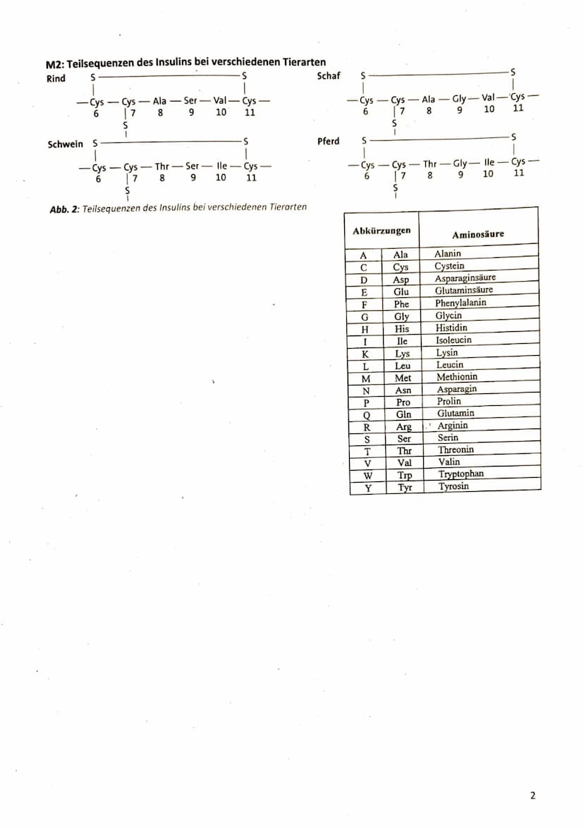Name:
2. Klausur der Q2-Biologie-Grundkurse 1-3 (BUTE/KRAE)
14.12.2023
Aufgabe 1: Belege für die Evolution - Das Insulinmolekül im Laufe der