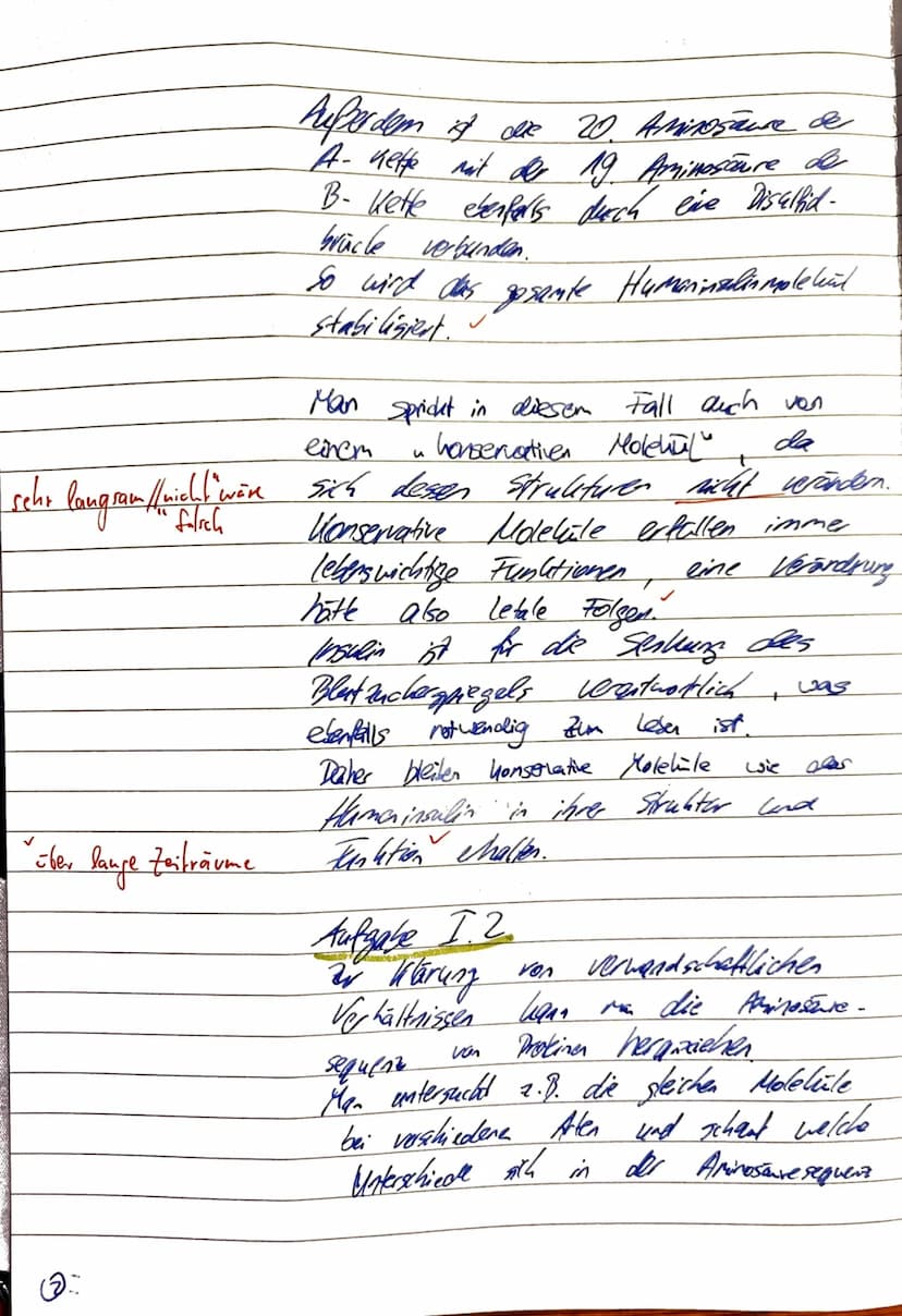 Name:
2. Klausur der Q2-Biologie-Grundkurse 1-3 (BUTE/KRAE)
14.12.2023
Aufgabe 1: Belege für die Evolution - Das Insulinmolekül im Laufe der