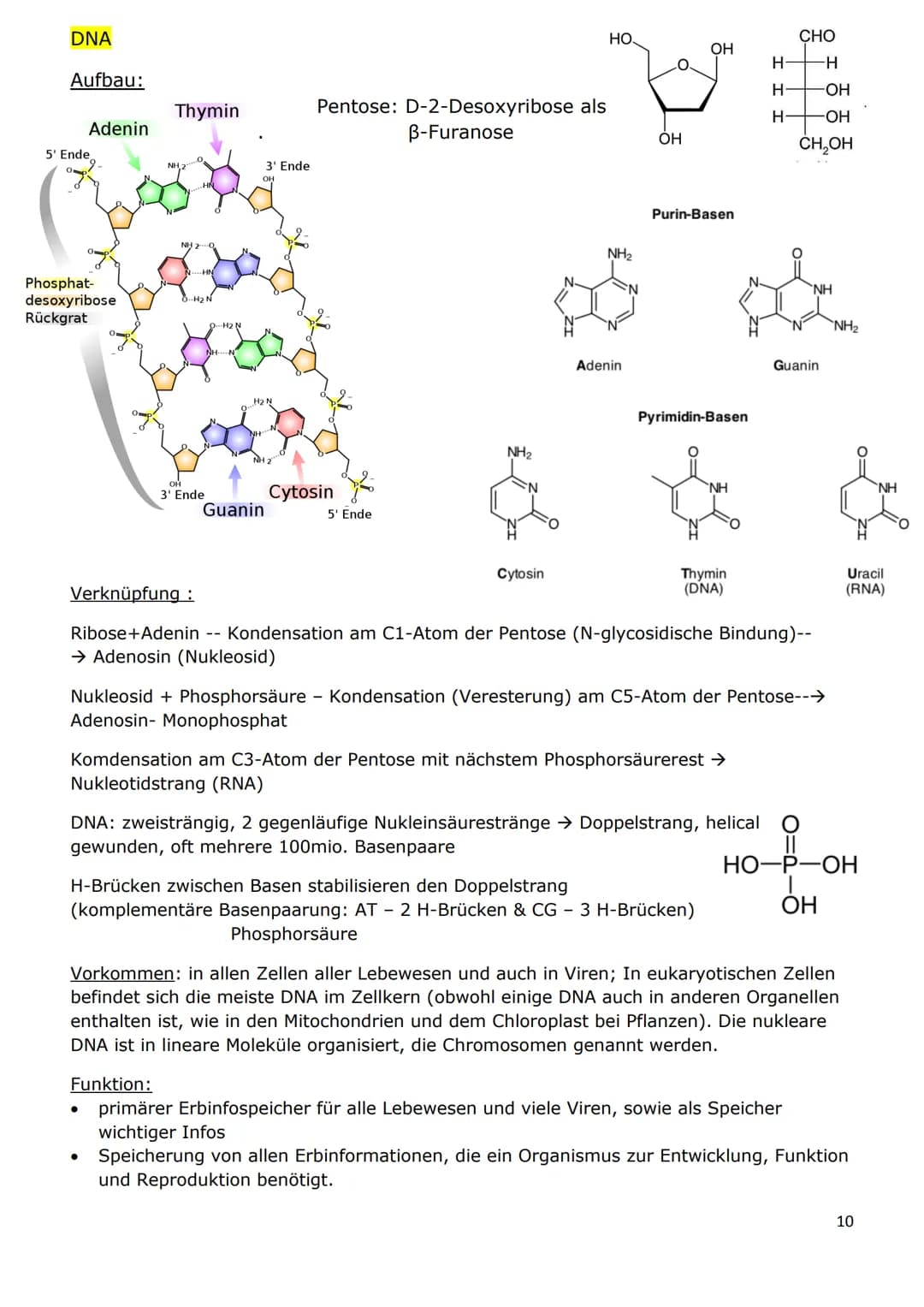 NATURSTOFFE
Stereochemie
Chiral: grundsätzliche Bezeichnung für ein beliebiges Objekt (auch ein Molekül), das nicht
mit seinem Spiegelbild ü