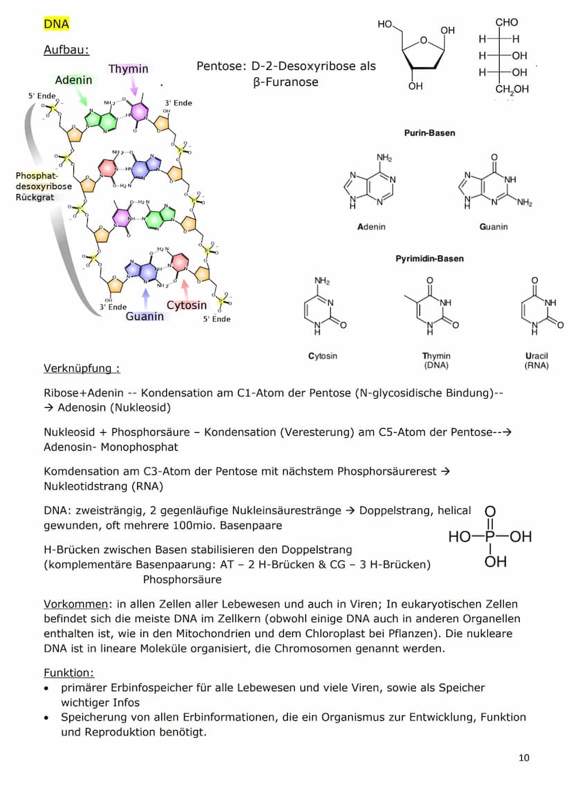 NATURSTOFFE
Stereochemie
Chiral: grundsätzliche Bezeichnung für ein beliebiges Objekt (auch ein Molekül), das nicht
mit seinem Spiegelbild ü