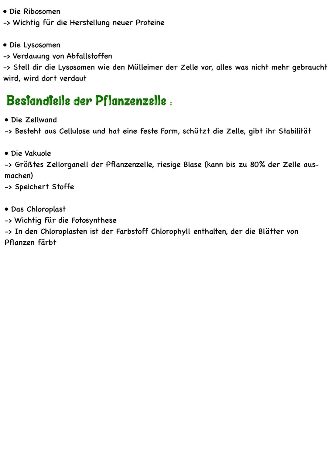 Die Zelle
AUFBAU DER TIERISCHEN UND PFLANZLICHEN ZELLE
Alle Lebewesen bestehen aus Zellen und ihren Produkten. Aufgrund zellulärer Unterschi