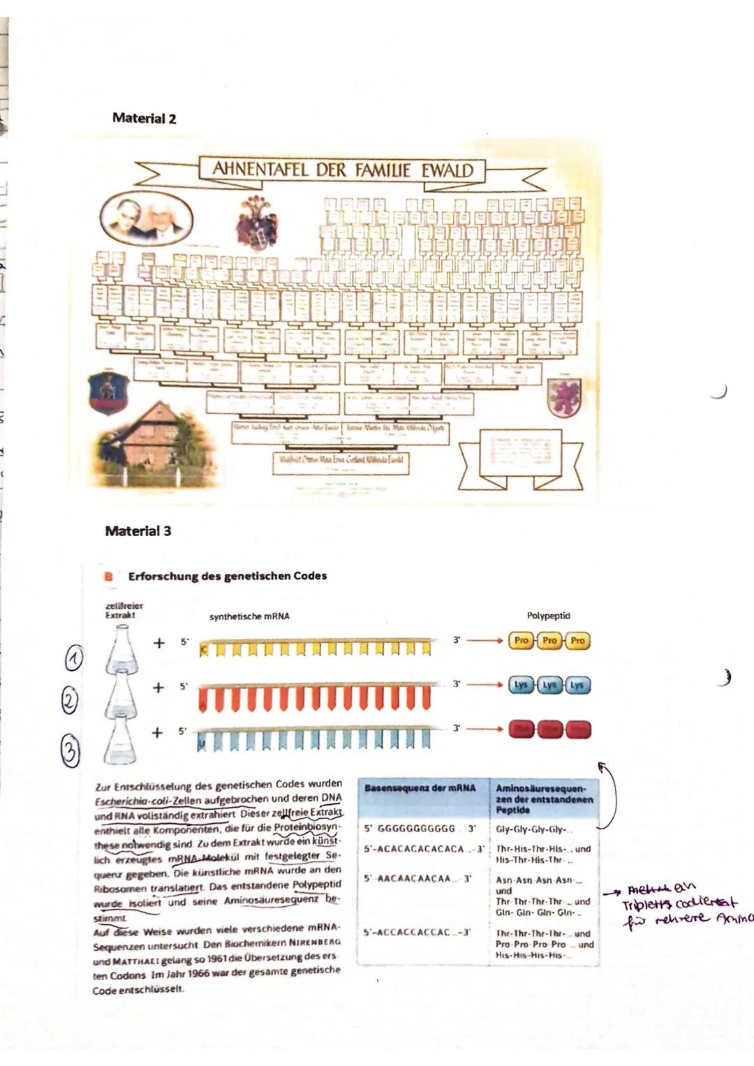 Klausur - Biologie Leistungskurs 12
Thema: Genetik
Name
Klass
Datum. T
1. Humangenetik
Während im Mittelalter Hebammen an der Stirn eines Ne