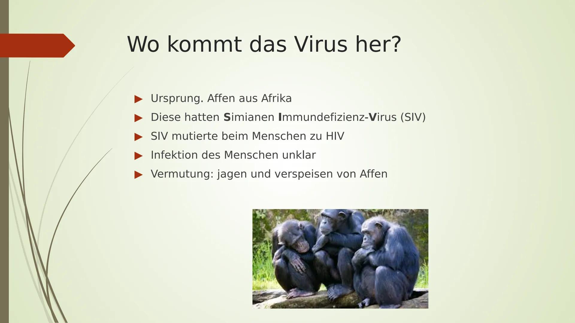 AIDS
HIV
YRITY Gliederung:
■ Arten
■
■
■
Allgemeines
Das HI-Virus
■
■ Geschichtliches
Übertragung
■ Ablauf/ Symptome
■
Aufbau
Woher kommt er