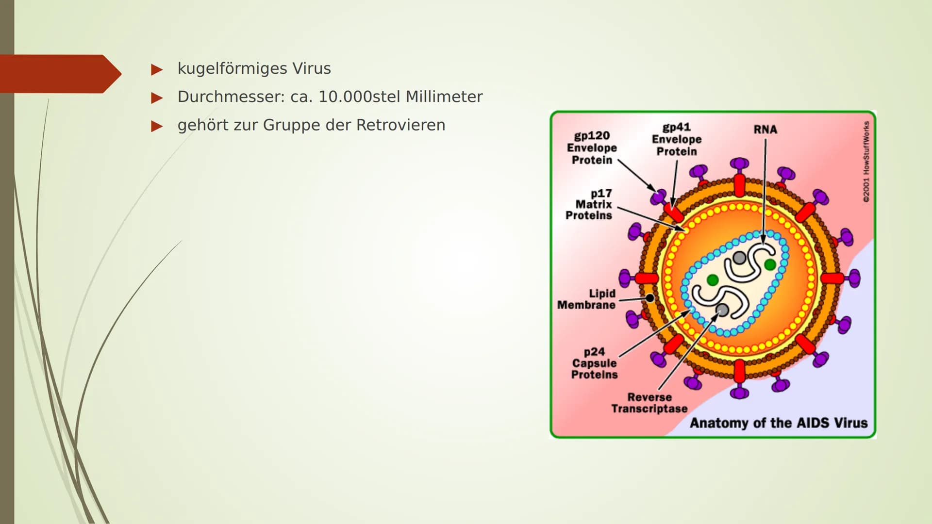 AIDS
HIV
YRITY Gliederung:
■ Arten
■
■
■
Allgemeines
Das HI-Virus
■
■ Geschichtliches
Übertragung
■ Ablauf/ Symptome
■
Aufbau
Woher kommt er