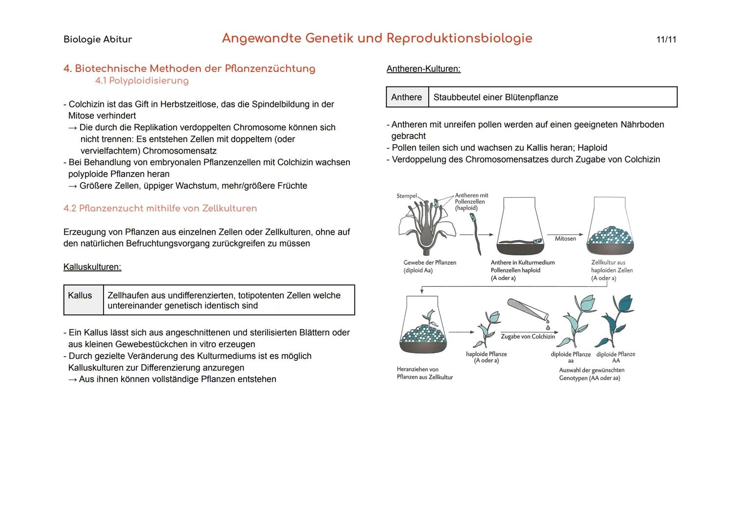 Biologie Abitur
1. Gentechnik
Gentechnik
Transgene Zellen
Genom
Angewandte Genetik und Reproduktionsbiologie
Verfahren, durch die fremde Gen