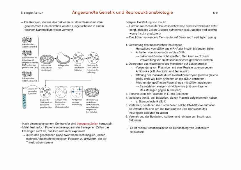 Biologie Abitur
1. Gentechnik
Gentechnik
Transgene Zellen
Genom
Angewandte Genetik und Reproduktionsbiologie
Verfahren, durch die fremde Gen