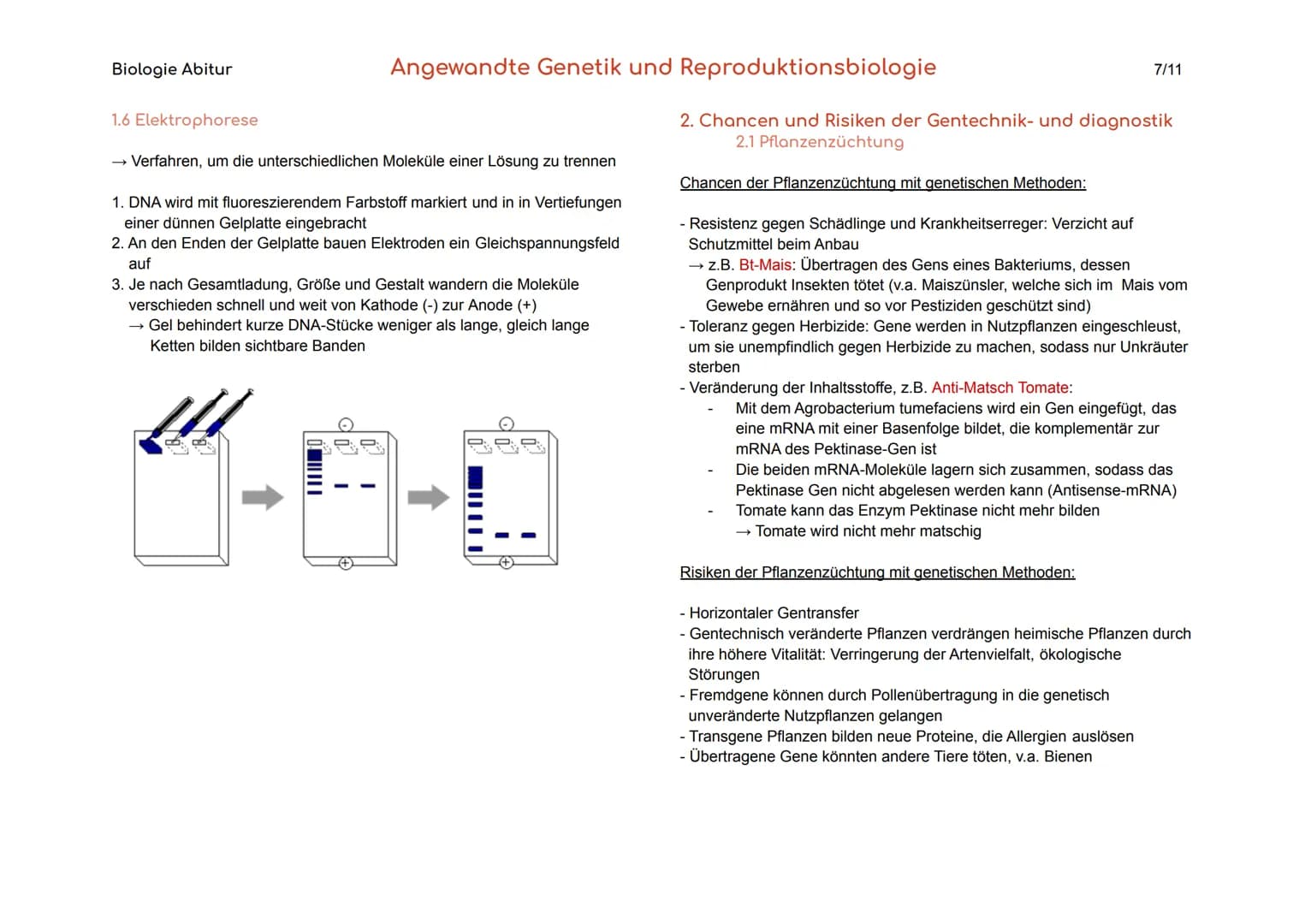 Biologie Abitur
1. Gentechnik
Gentechnik
Transgene Zellen
Genom
Angewandte Genetik und Reproduktionsbiologie
Verfahren, durch die fremde Gen