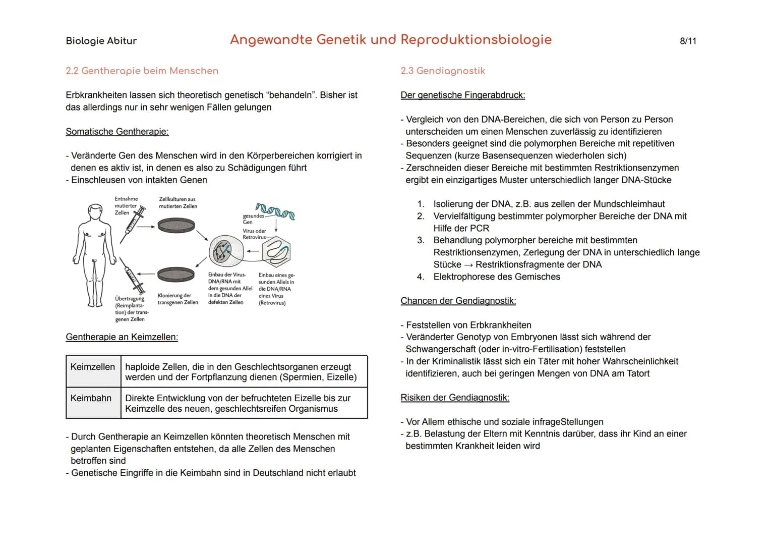 Biologie Abitur
1. Gentechnik
Gentechnik
Transgene Zellen
Genom
Angewandte Genetik und Reproduktionsbiologie
Verfahren, durch die fremde Gen