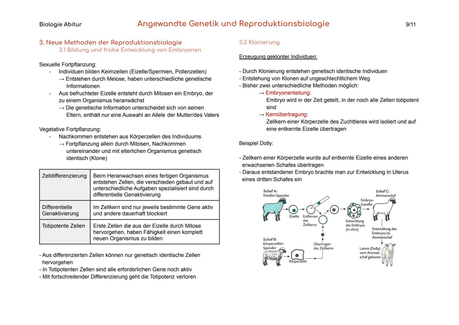 Biologie Abitur
1. Gentechnik
Gentechnik
Transgene Zellen
Genom
Angewandte Genetik und Reproduktionsbiologie
Verfahren, durch die fremde Gen