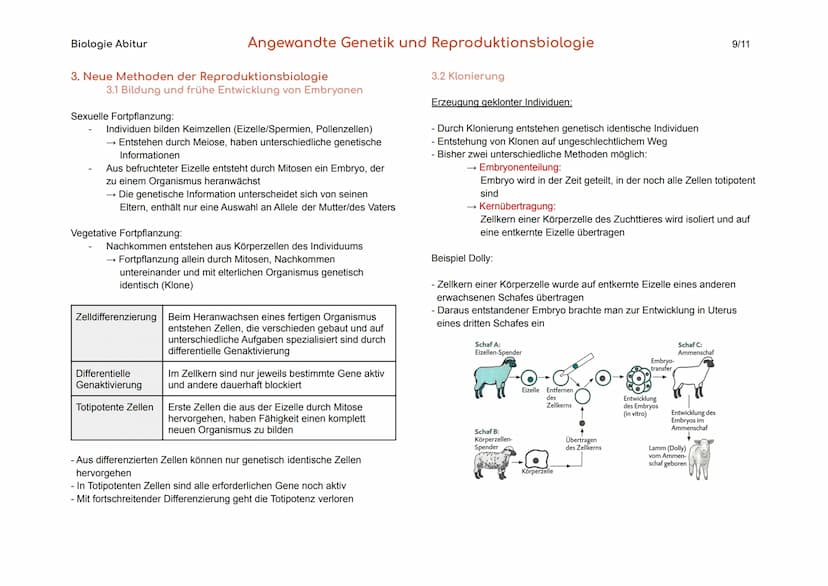 Biologie Abitur
1. Gentechnik
Gentechnik
Transgene Zellen
Genom
Angewandte Genetik und Reproduktionsbiologie
Verfahren, durch die fremde Gen