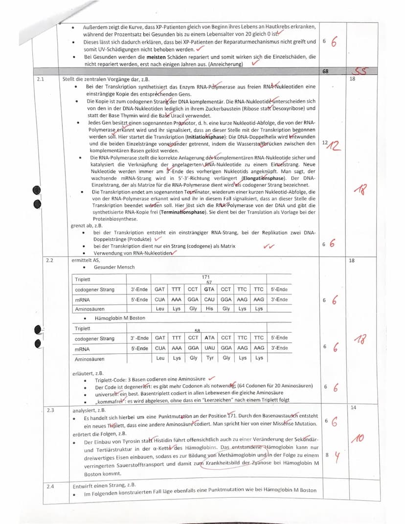 LK QT
1.1
1.2
Jill
Aufgabe 1: DNA und Hautkrebs durch UV Strahlen (68 Punkte)
1.3
1.4
1.5
2.1
2.2
- Gesamtschule
2.3
07.12.2021
2.4
2. BIOLO