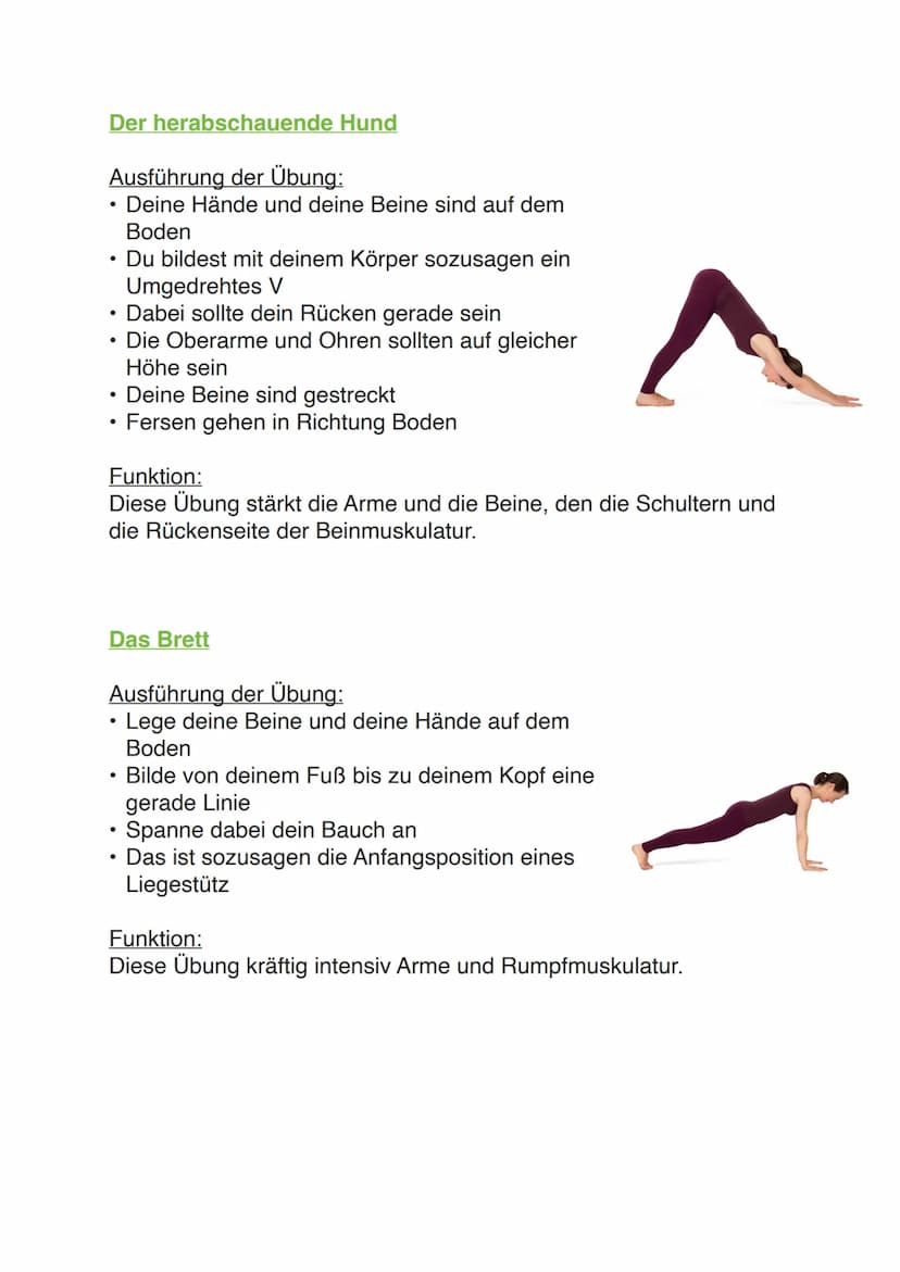 Yoga
Vorgeschichte
Yoga stammt von dem altindischen Sanskrit-Wort „,yuj" ab, heißt übersetzt anschirren,
anbinden und verbinden und wird int