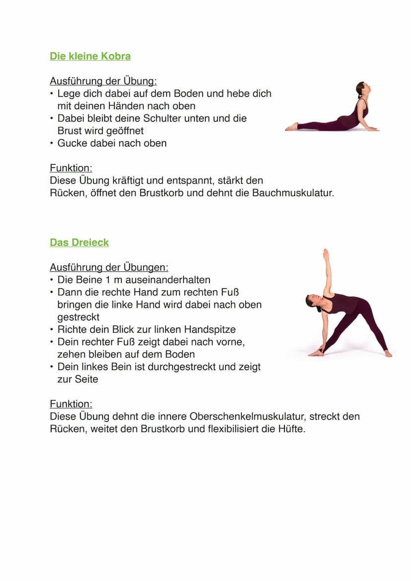 Yoga
Vorgeschichte
Yoga stammt von dem altindischen Sanskrit-Wort „,yuj" ab, heißt übersetzt anschirren,
anbinden und verbinden und wird int
