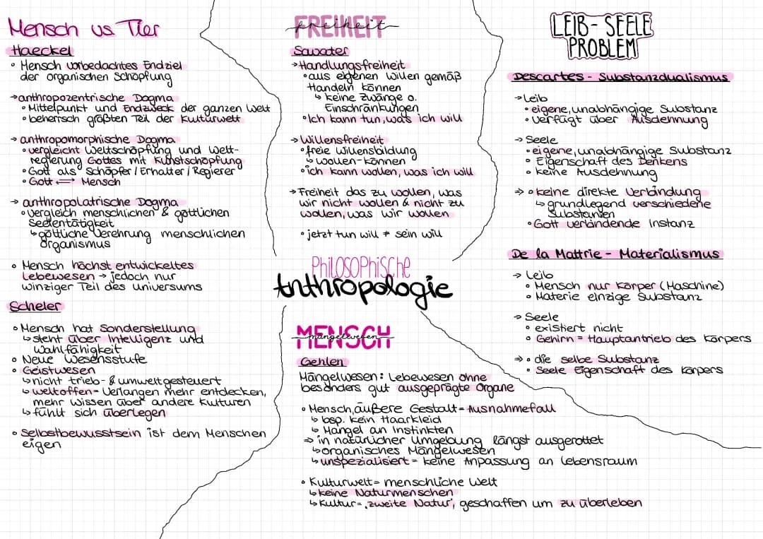 Unterschiede zwischen Mensch und Tier und das Leib-Seele-Problem