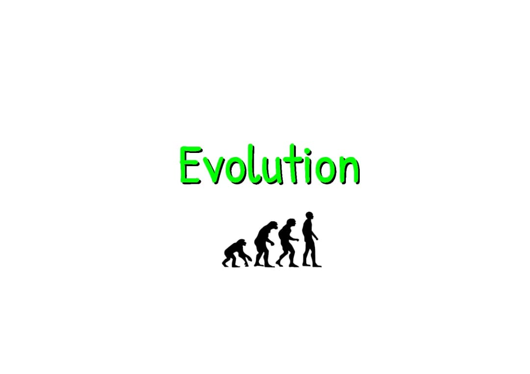 Einfach erklärt: Die Darwin Theorie und die Synthetische Evolutionstheorie