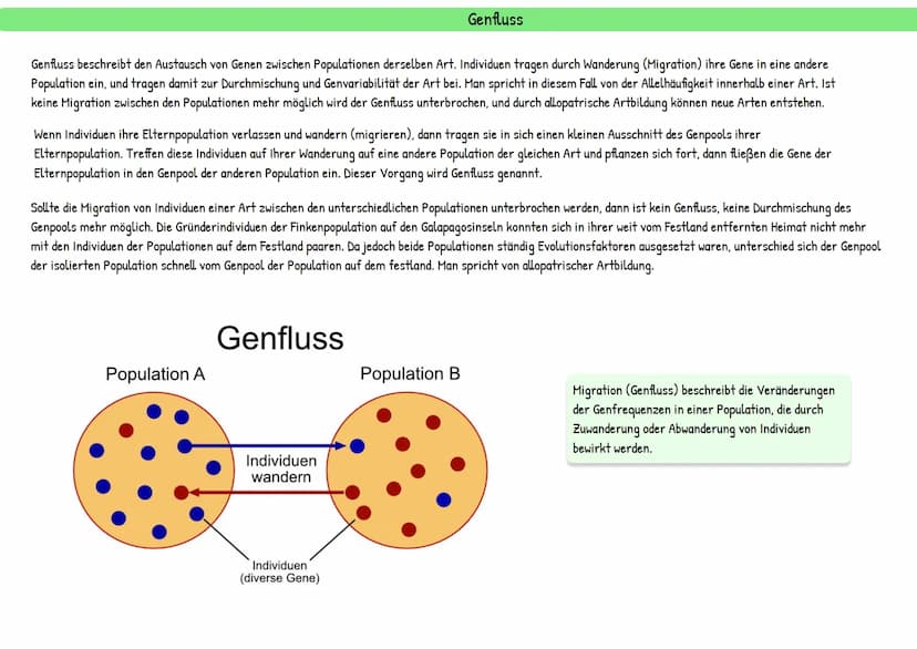 Evolution
統 Darwins Theorie besteht aus mehreren Annahmen:
Reproduktion: Individuen einer Population erzeugen immer mehr Nachkommen, als zu 