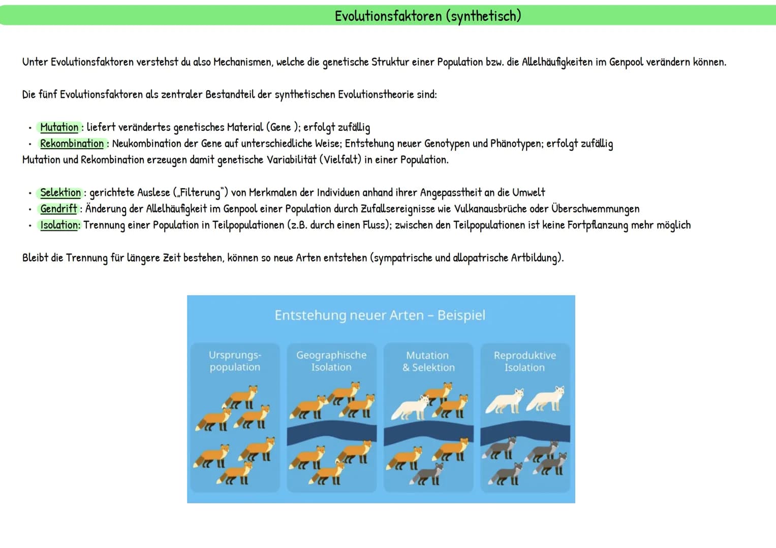 Evolution
統 Darwins Theorie besteht aus mehreren Annahmen:
Reproduktion: Individuen einer Population erzeugen immer mehr Nachkommen, als zu 