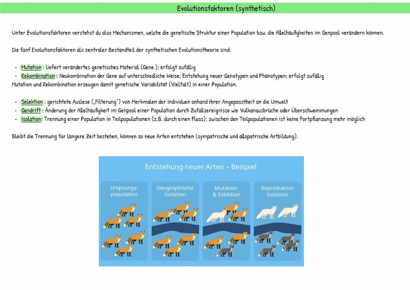 Evolution
統 Darwins Theorie besteht aus mehreren Annahmen:
Reproduktion: Individuen einer Population erzeugen immer mehr Nachkommen, als zu 