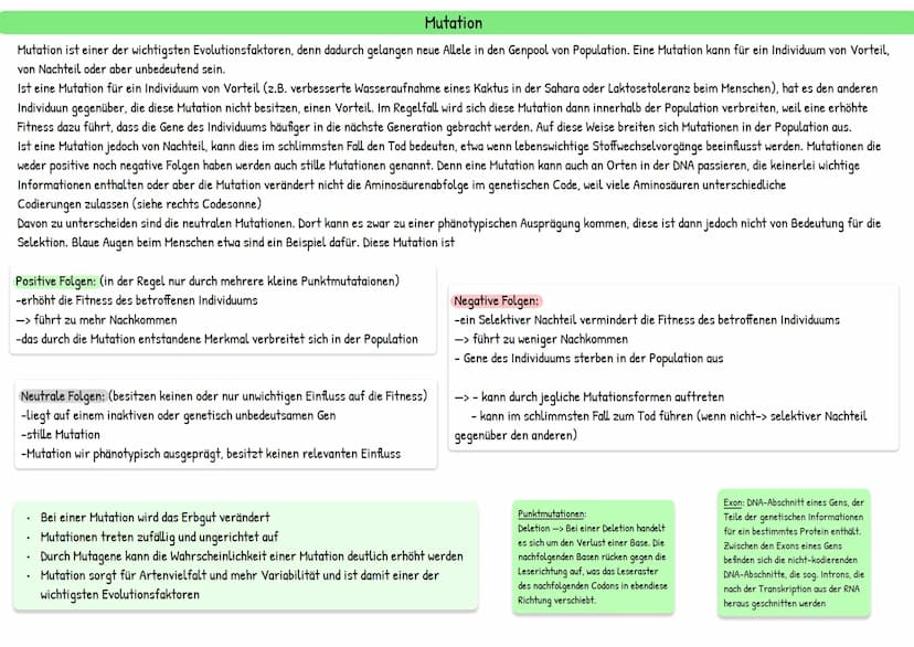 Evolution
統 Darwins Theorie besteht aus mehreren Annahmen:
Reproduktion: Individuen einer Population erzeugen immer mehr Nachkommen, als zu 