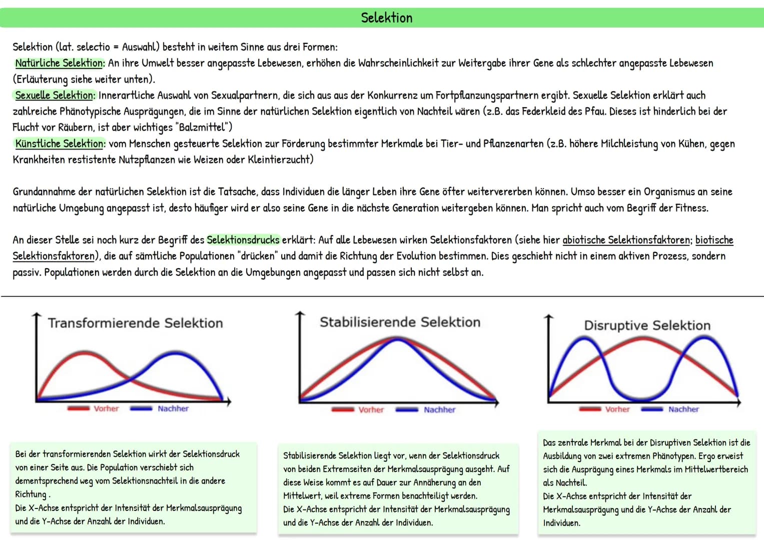 Evolution
統 Darwins Theorie besteht aus mehreren Annahmen:
Reproduktion: Individuen einer Population erzeugen immer mehr Nachkommen, als zu 