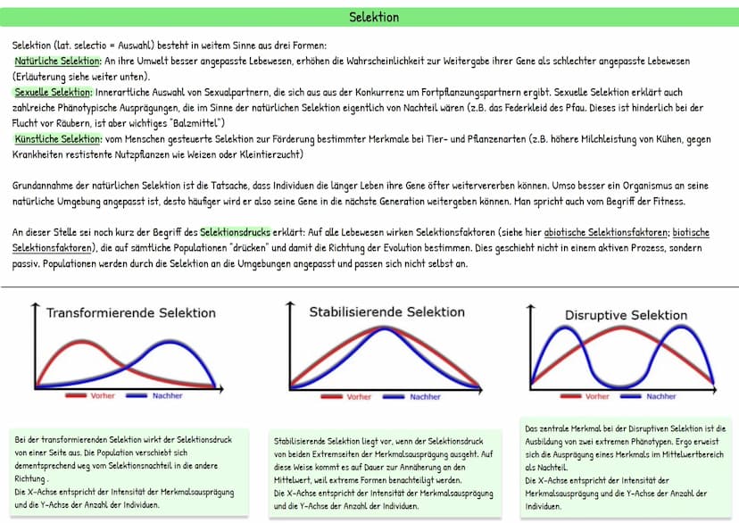 Evolution
統 Darwins Theorie besteht aus mehreren Annahmen:
Reproduktion: Individuen einer Population erzeugen immer mehr Nachkommen, als zu 