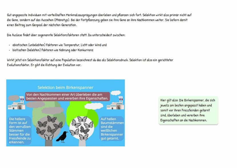 Evolution
統 Darwins Theorie besteht aus mehreren Annahmen:
Reproduktion: Individuen einer Population erzeugen immer mehr Nachkommen, als zu 