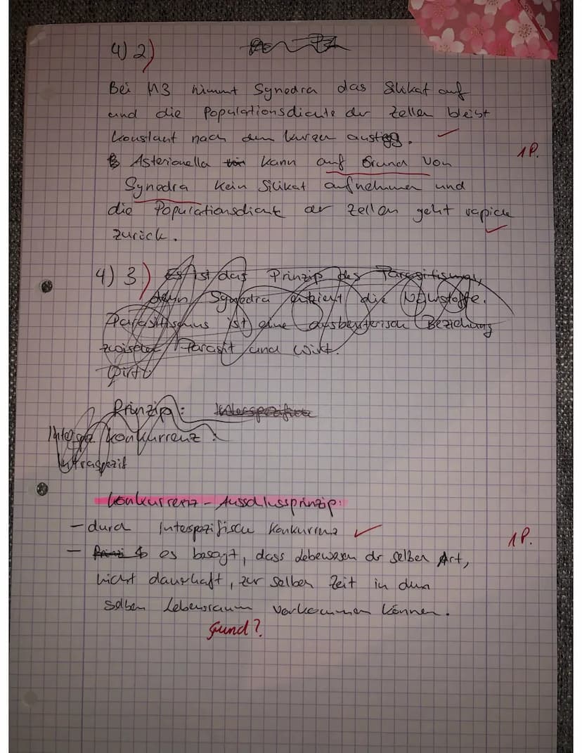 
<p>Ein Ökosystem setzt sich aus verschiedenen Nahrungsketten zusammen, die miteinander zu einem Nahrungsnetz verknüpft sind. Je artenreiche