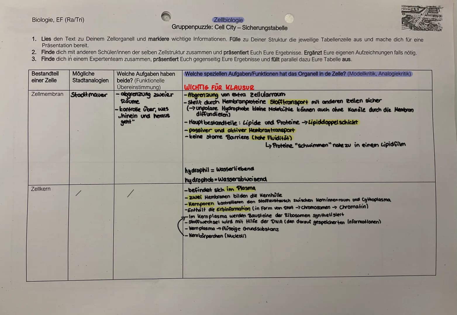 Biologie, EF (Ra/Tri)
1. Lies den Text zu Deinem Zellorganell und markiere wichtige Informationen. Fülle zu Deiner Struktur die jeweilige Ta