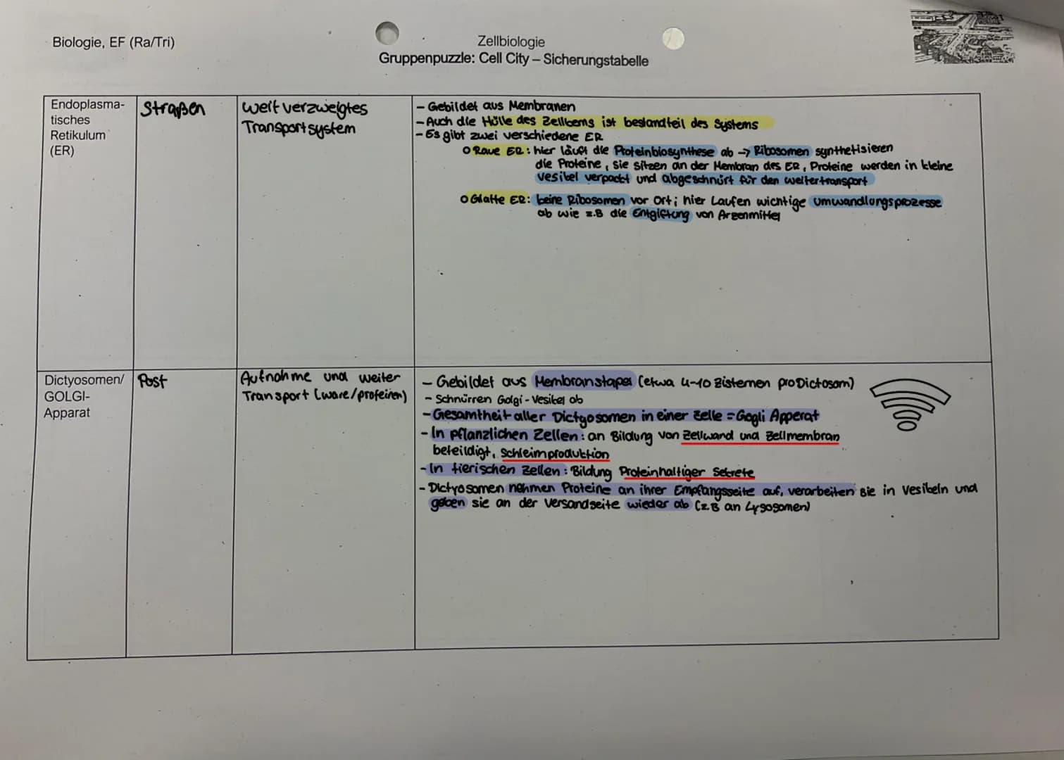 Biologie, EF (Ra/Tri)
1. Lies den Text zu Deinem Zellorganell und markiere wichtige Informationen. Fülle zu Deiner Struktur die jeweilige Ta