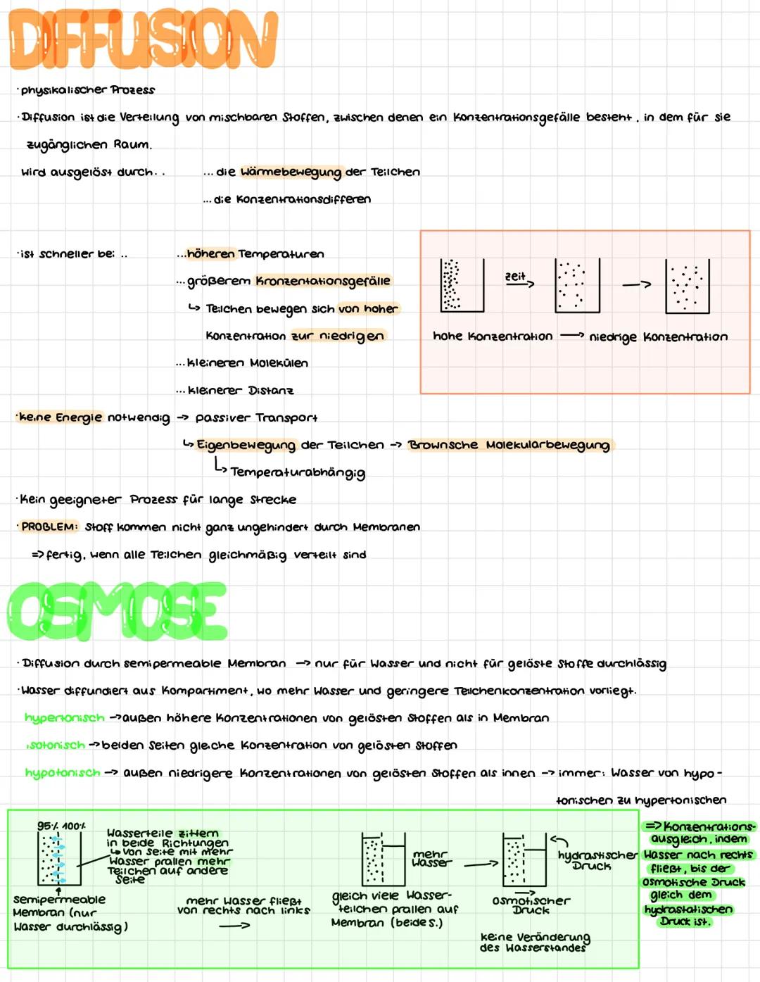 ENDOSYMBIONTENTHEORIE
Urzelle
Chloroplast
wird in Urzell
eingeschlossen
chup
L>Tierische Zelle
chioroplast
(Eukaryot)
Erklärung
→> Urzelle s