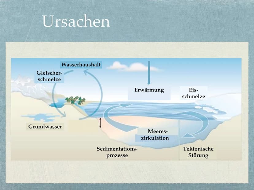 Meeresspiegelanstieg
Wir haben uns mit dem Meeresspiegelanstieg beschäftigt, der eine der wichtigsten Folgen
des anthropogenen Klimawandels 