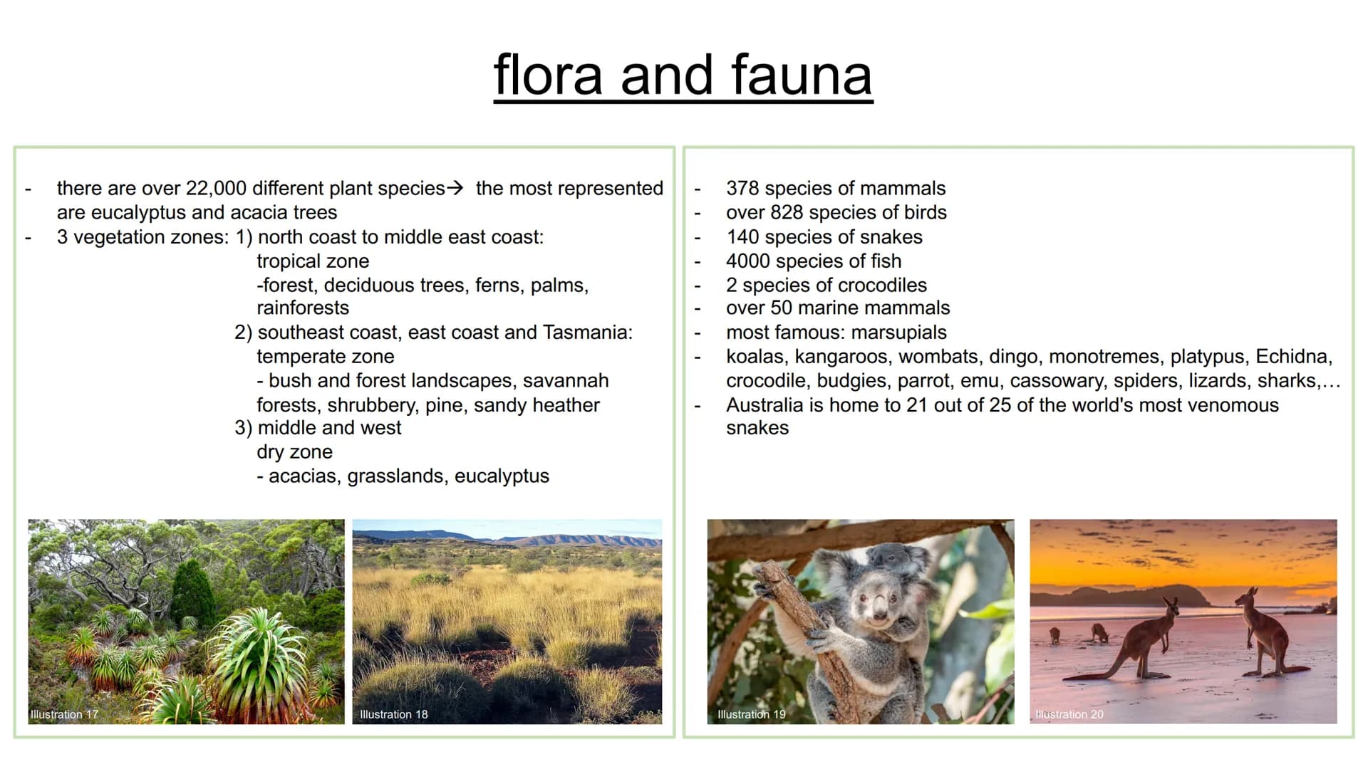 Australia & Aboriginals
presentation from Sarah Grabow
Class 9a structure:
transparency 1: cover sheet
transparency 2: structure
transparenc
