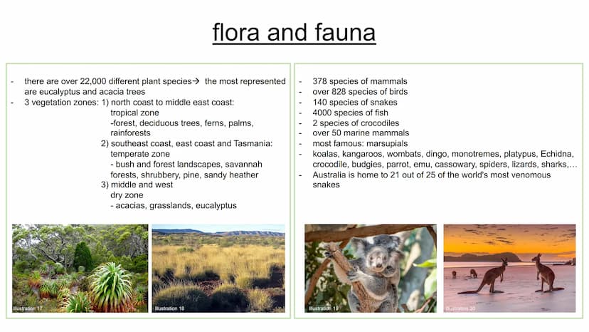 Australia & Aboriginals
presentation from Sarah Grabow
Class 9a structure:
transparency 1: cover sheet
transparency 2: structure
transparenc