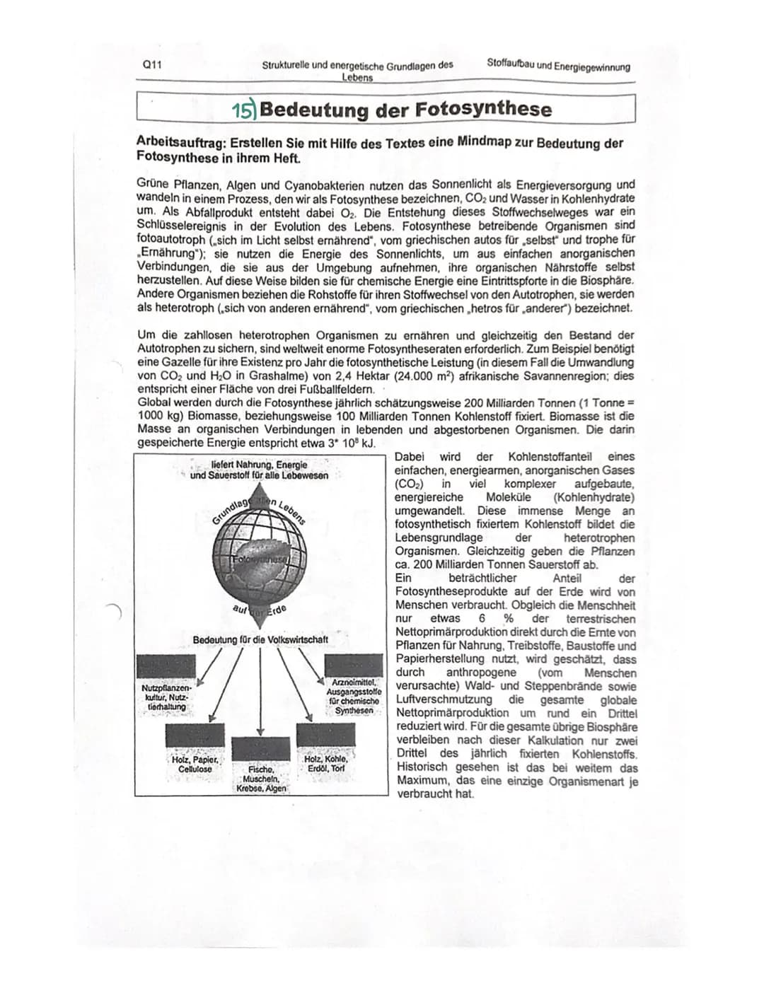 Organisation und Funktion einer Zelle
1) Pflanzen- und Treszelle
cytoplasma
& cytoskelett
Ribosomen
Chloroplast
ER
Nucledus
Zelkern
21 Zello