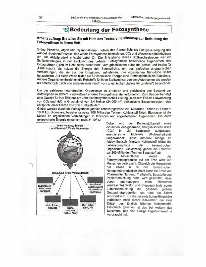 Organisation und Funktion einer Zelle
1) Pflanzen- und Treszelle
cytoplasma
& cytoskelett
Ribosomen
Chloroplast
ER
Nucledus
Zelkern
21 Zello