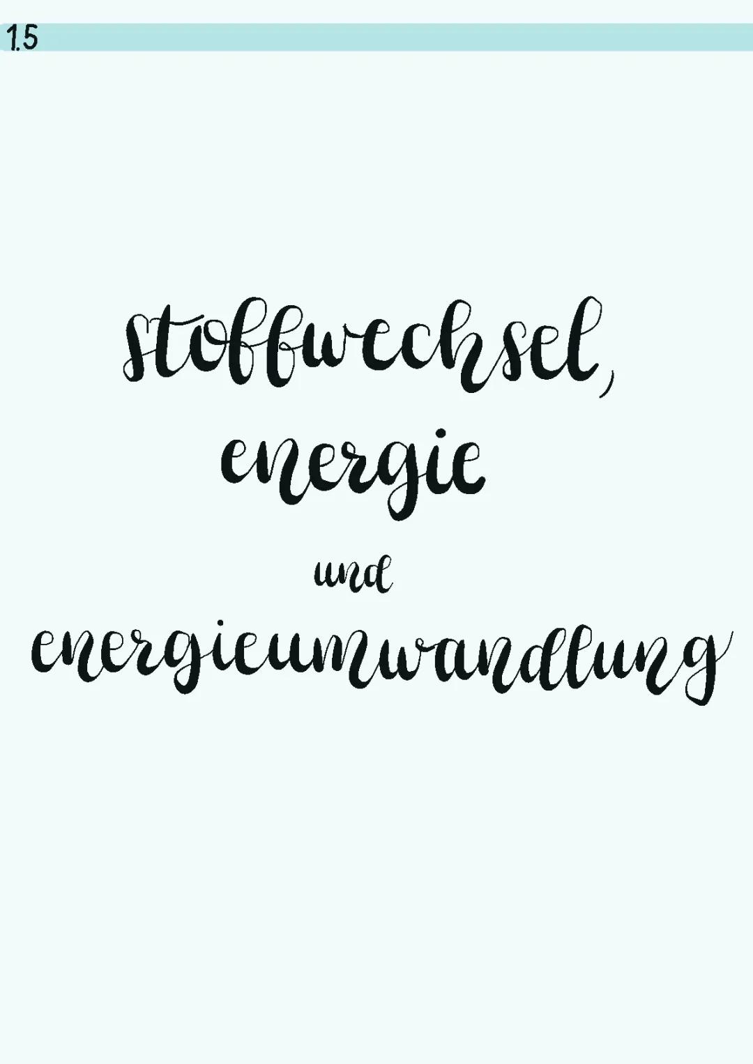 Wie energetische Kopplung und Entropie ATP und biologische Energieumwandlung beeinflussen