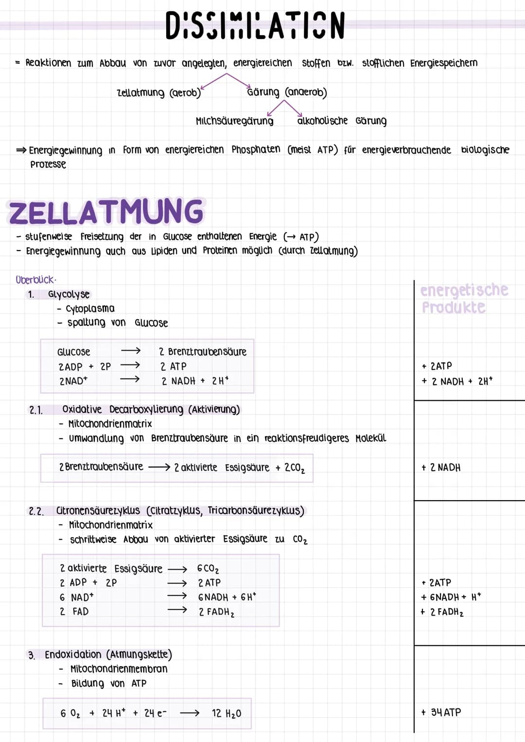 1.5
stoffwechsel
energie
und
energicumwandlung energetische Koppens and atp
KOPPLING
UND
grundsätzliche Tendenz: Entropie (Maß für die ordnu