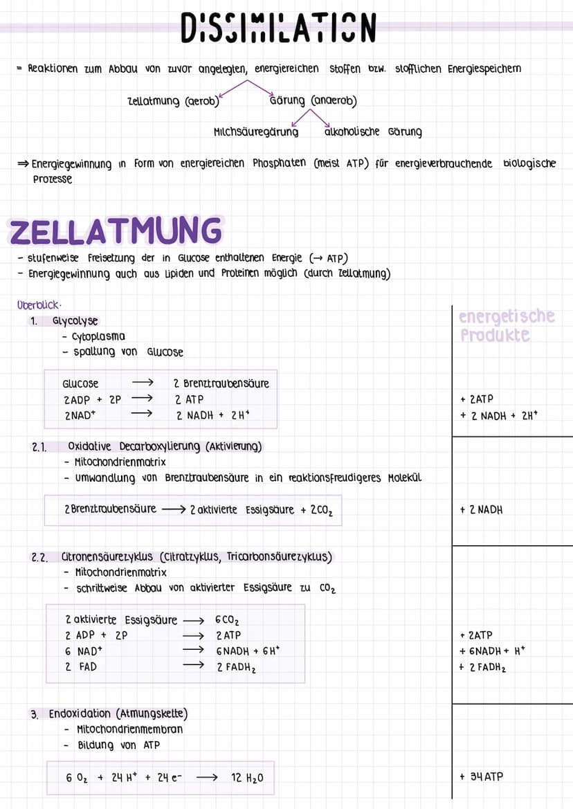 1.5
stoffwechsel
energie
und
energicumwandlung energetische Koppens and atp
KOPPLING
UND
grundsätzliche Tendenz: Entropie (Maß für die ordnu