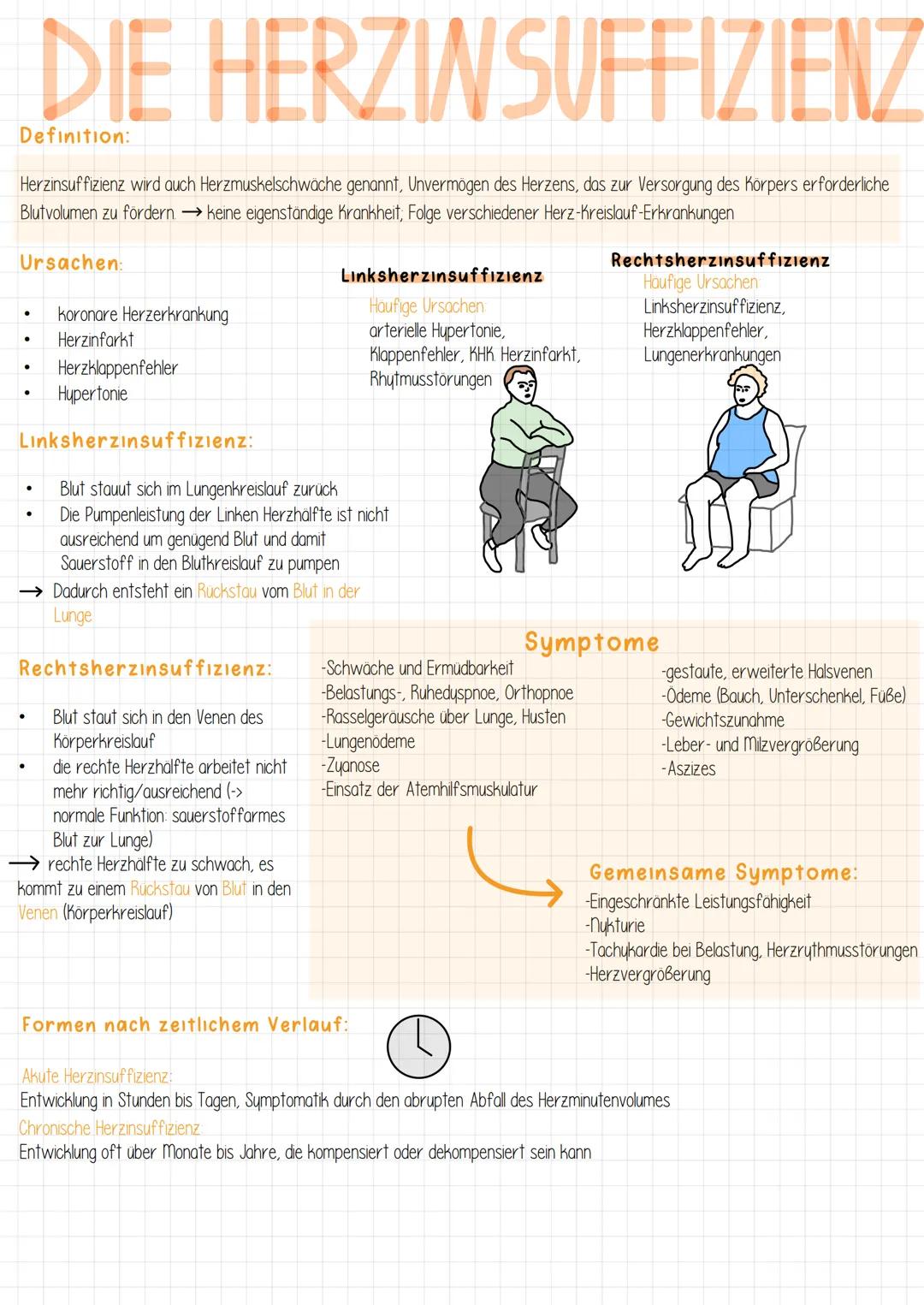 # Das Herz + Anatomie

Anatomie des Herzens:

→ Rechte Herzhälfte hat das sauerstoffarme Blut

→Linke Herzhalfte hat das sauerstoffreiche Bl