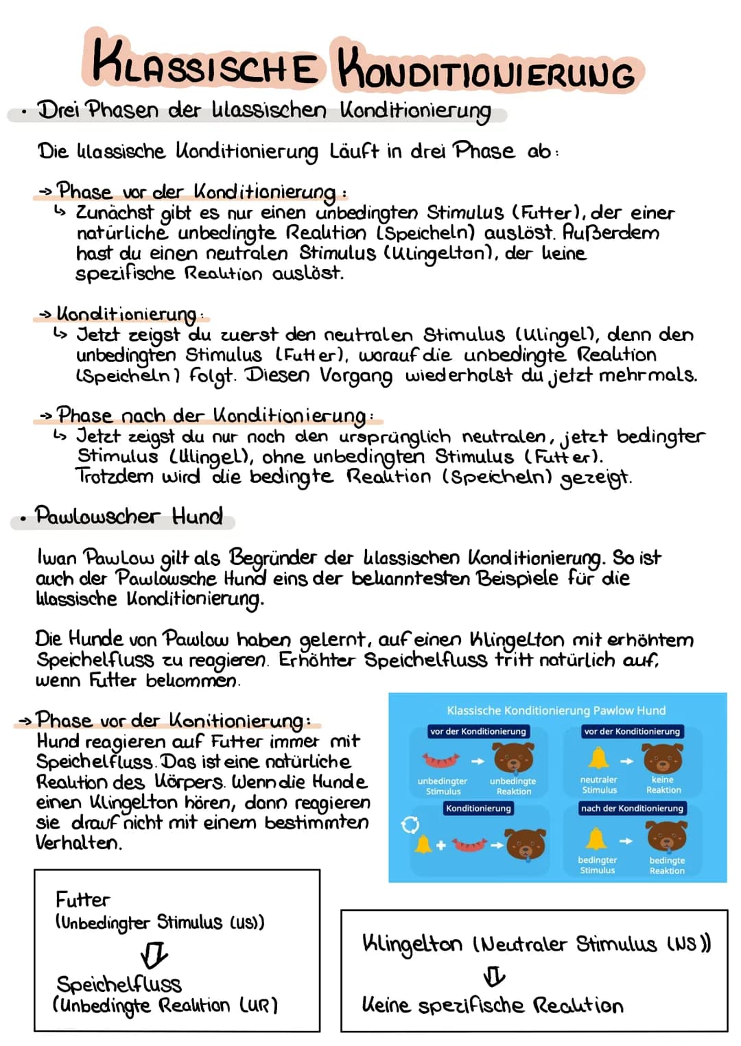 KLASSISCHE KONDITIONIERUNG
Drei Phasen der klassischen Konditionierung
Die klassische Konditionierung Läuft in drei Phase ab:
->>
• Phase vo