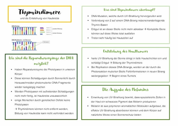 Know Thymindimere  thumbnail