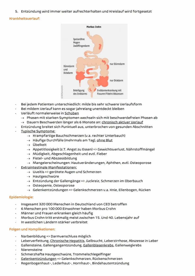 Definition:
Chronisch entzündliche Darmerkrankung (CED), unheilbare Autoimmunerkrankung
Entzündung der Schleimhaut im Verdauungstrakt
Kann a