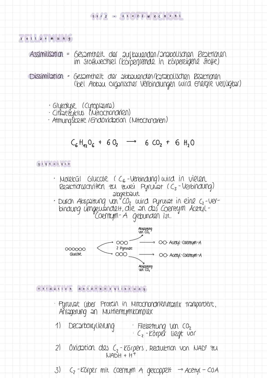 2 ella + mung9
Assimilisation
=
Dissimilation Gesamtheit der abbauenden /katabolischen Reaktionen
(bei Abbau organischer Verbindungen wird e