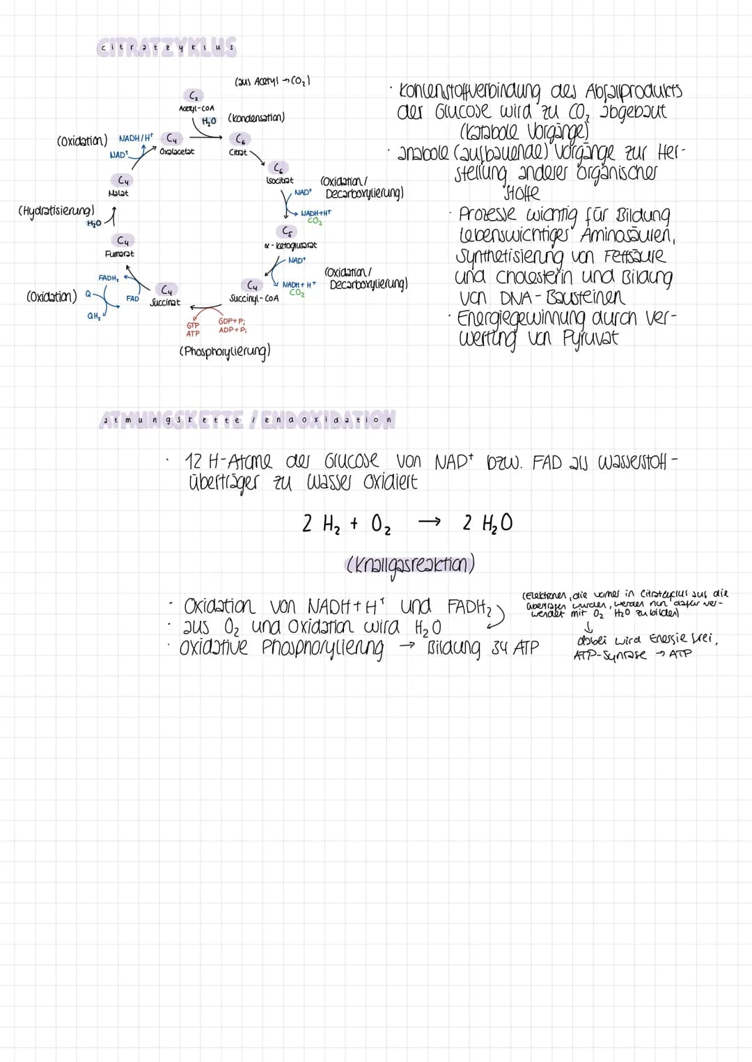 2 ella + mung9
Assimilisation
=
Dissimilation Gesamtheit der abbauenden /katabolischen Reaktionen
(bei Abbau organischer Verbindungen wird e