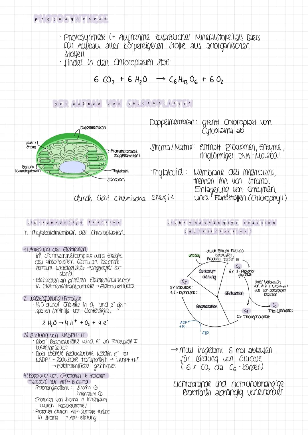 2 ella + mung9
Assimilisation
=
Dissimilation Gesamtheit der abbauenden /katabolischen Reaktionen
(bei Abbau organischer Verbindungen wird e