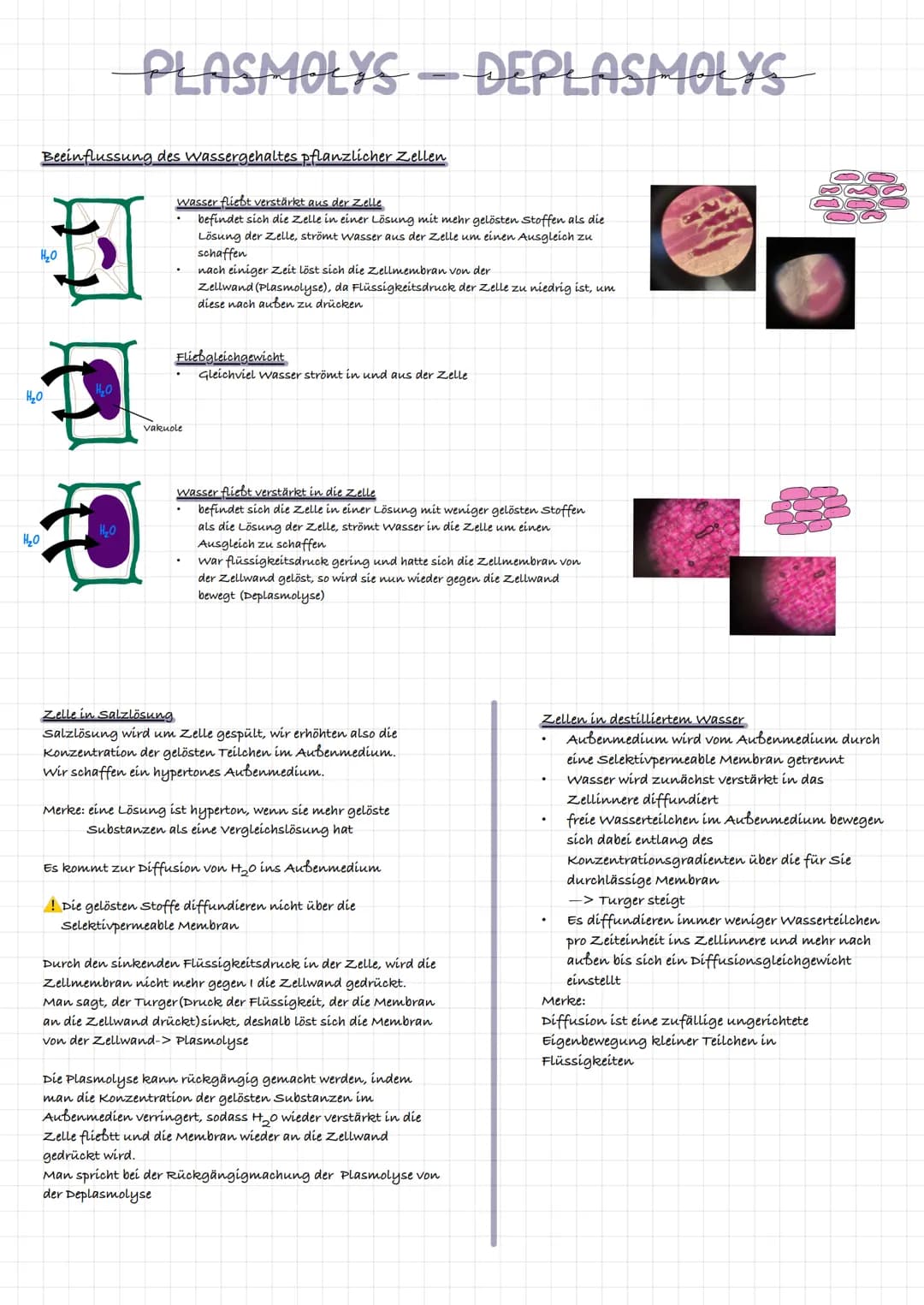 extrazelluläre Flüssigkeit
Kohlenhydratkette
Glykolipid
intrazelluläre flüssigkeit
ő
Triglycerid gehört zu den Lipíden:
र्स
ő
xxxxxxxxxxx
3-