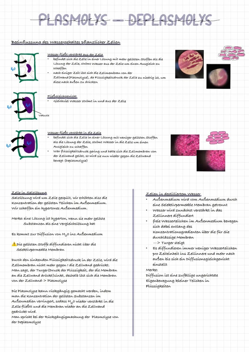 extrazelluläre Flüssigkeit
Kohlenhydratkette
Glykolipid
intrazelluläre flüssigkeit
ő
Triglycerid gehört zu den Lipíden:
र्स
ő
xxxxxxxxxxx
3-