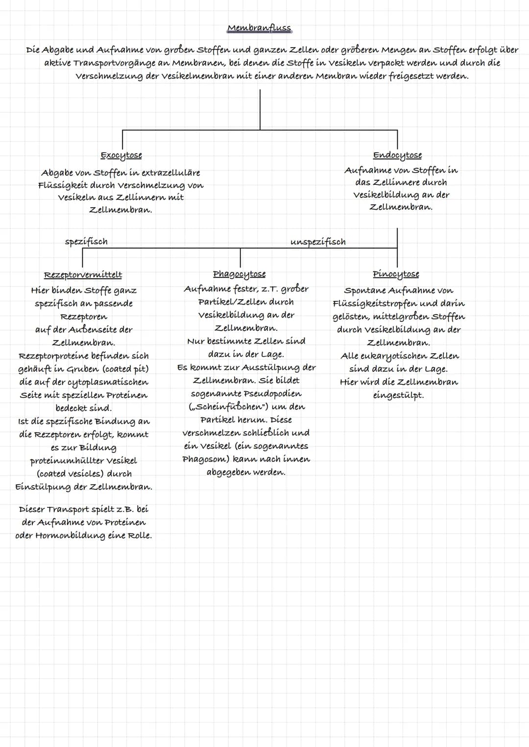 extrazelluläre Flüssigkeit
Kohlenhydratkette
Glykolipid
intrazelluläre flüssigkeit
ő
Triglycerid gehört zu den Lipíden:
र्स
ő
xxxxxxxxxxx
3-
