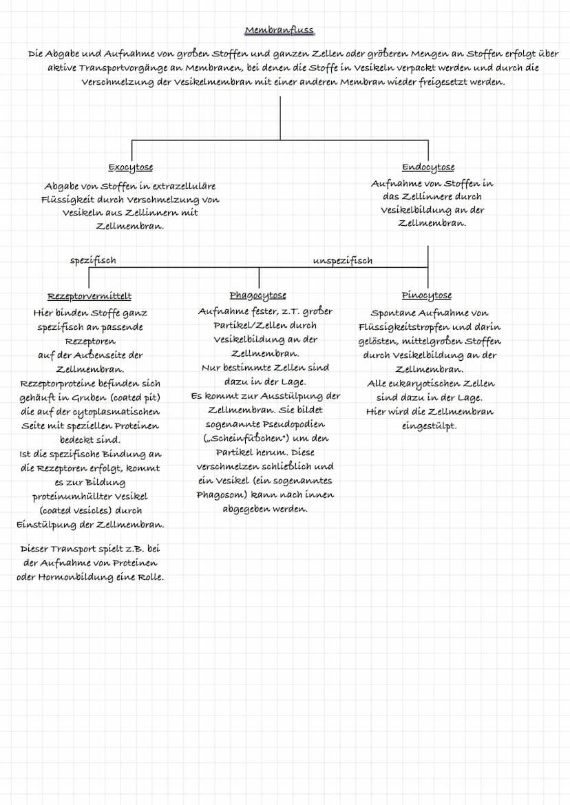 extrazelluläre Flüssigkeit
Kohlenhydratkette
Glykolipid
intrazelluläre flüssigkeit
ő
Triglycerid gehört zu den Lipíden:
र्स
ő
xxxxxxxxxxx
3-
